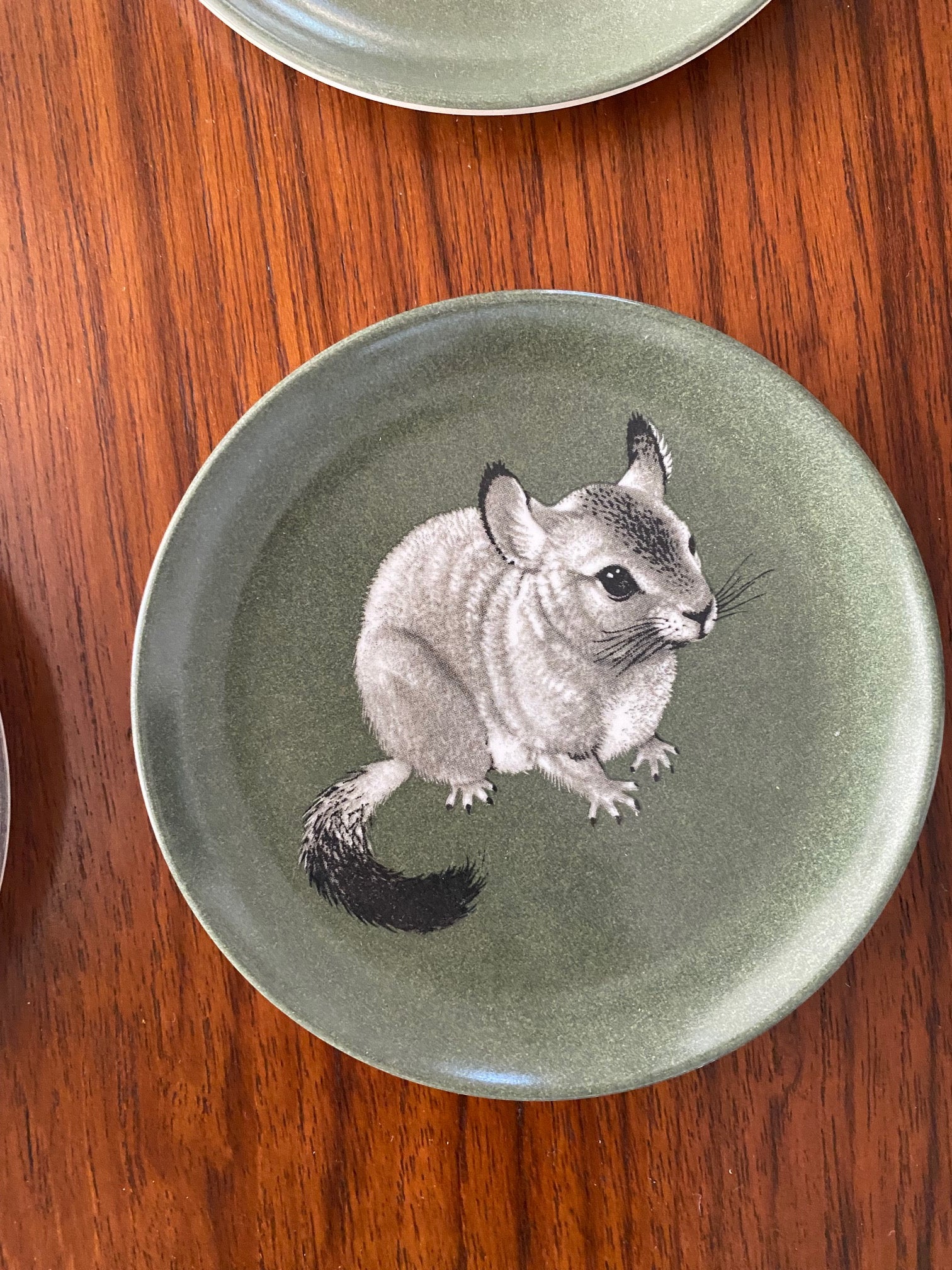 Praesidium Ornamin Melamine Animal Coasters- Cook Street Vintage