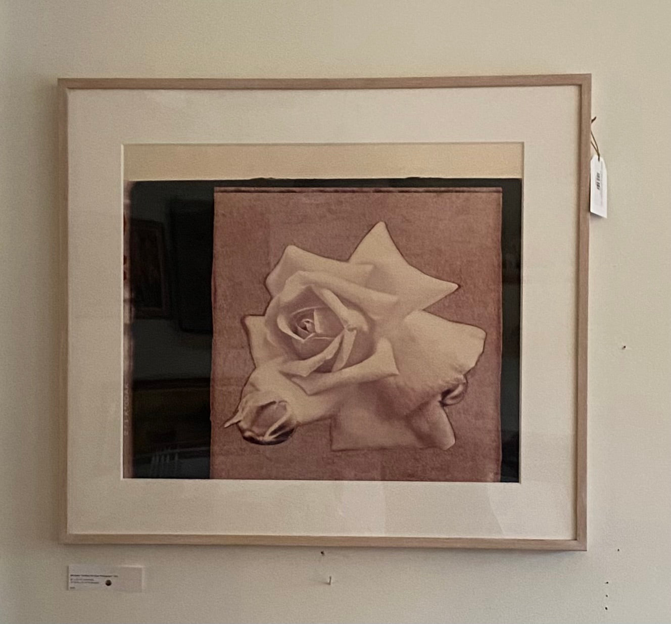 image of rose taken with a pin hole camera by William Eakin- Cook Street Vintage