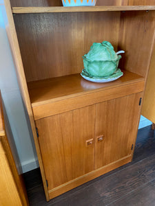 Teak Shelves with Lower Cabinet
