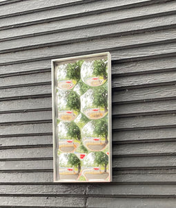 1970s Bubble Mirror in Frame