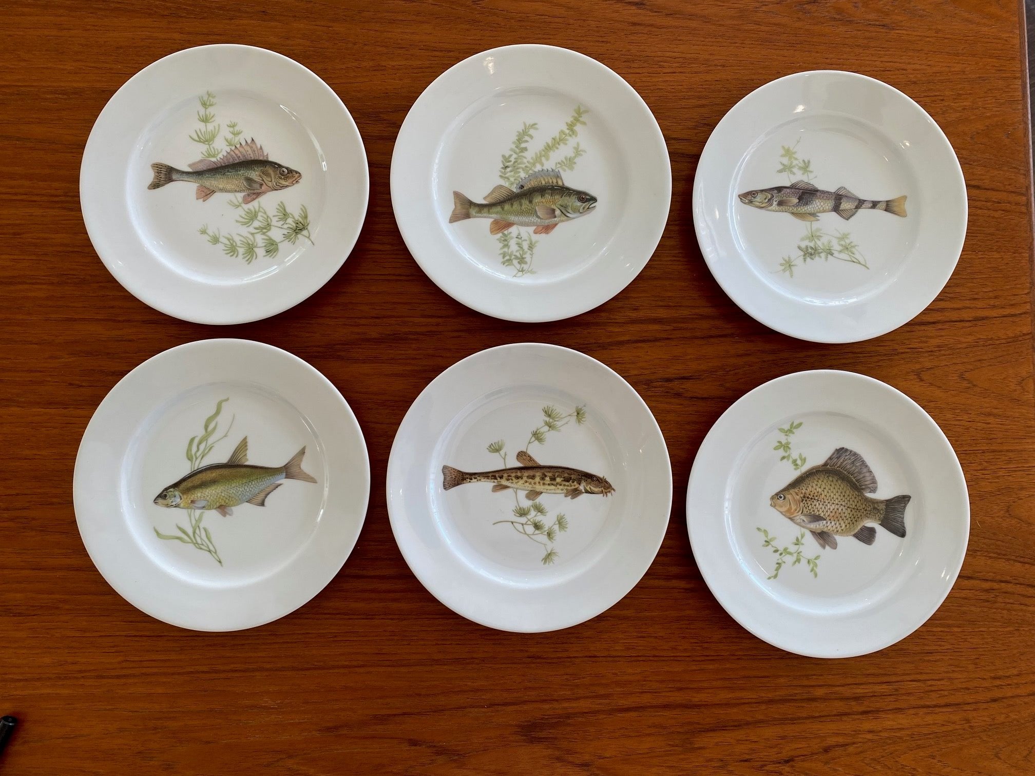 Schumann Arzberg Fish Set