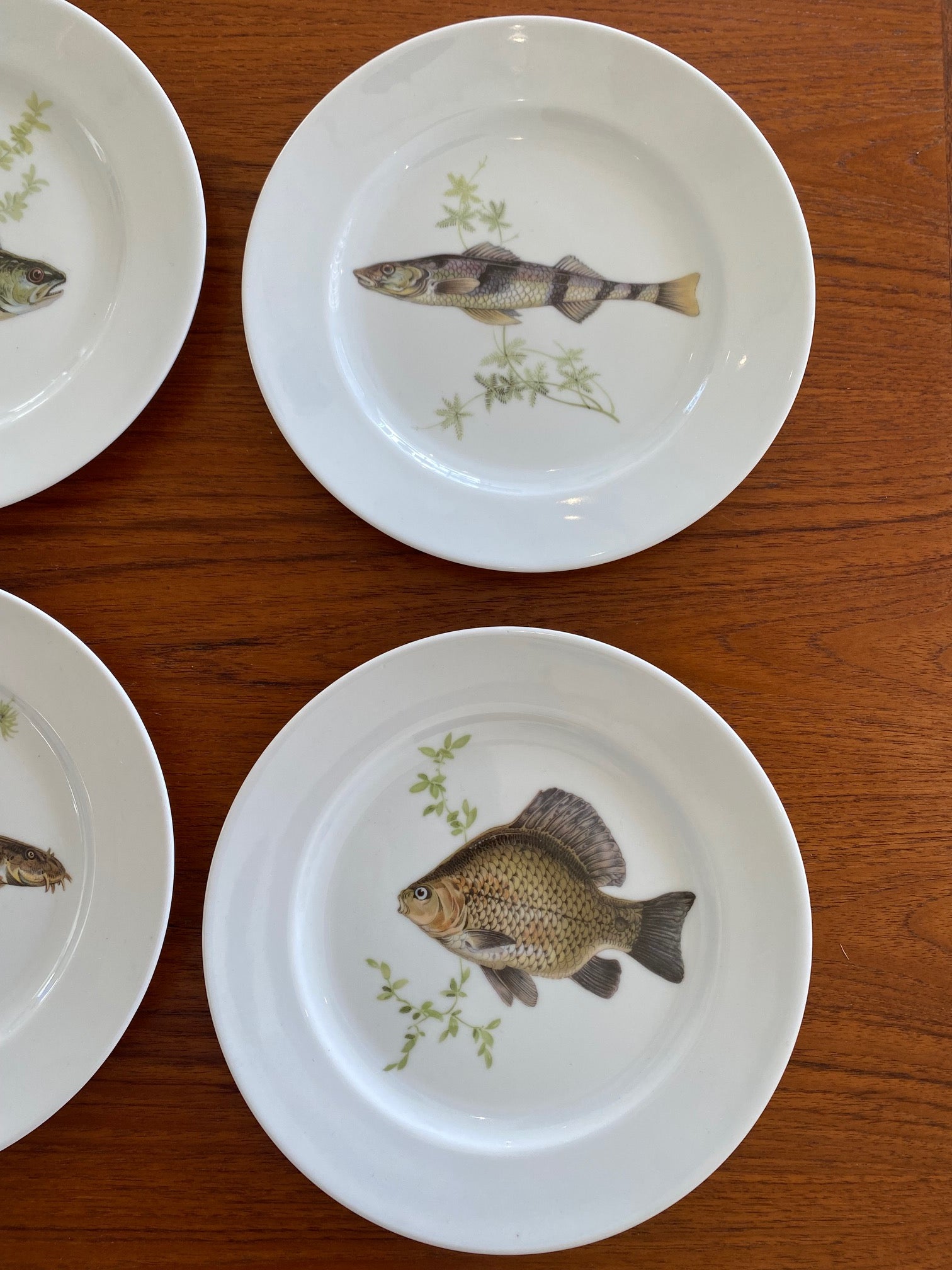 Schumann Arzberg Fish Set