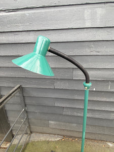 Vintage Green Floor Lamp with Articulated Gooseneck