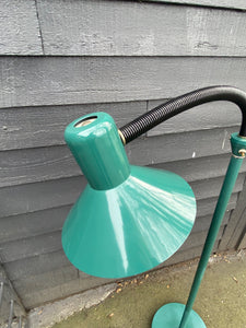 Vintage Green Floor Lamp with Articulated Gooseneck