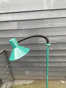 Vintage Green Floor Lamp with Articulated Gooseneck