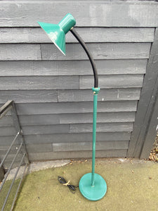 Vintage Green Floor Lamp with Articulated Gooseneck