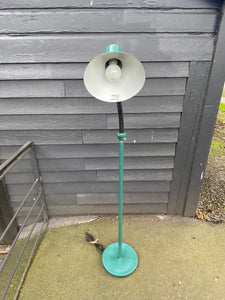Vintage Green Floor Lamp with Articulated Gooseneck