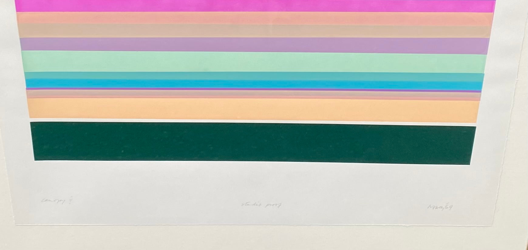 Don Harvey  "Canopy II" Serigraph