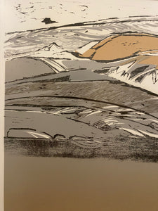 "Glacier Patterns", 1992