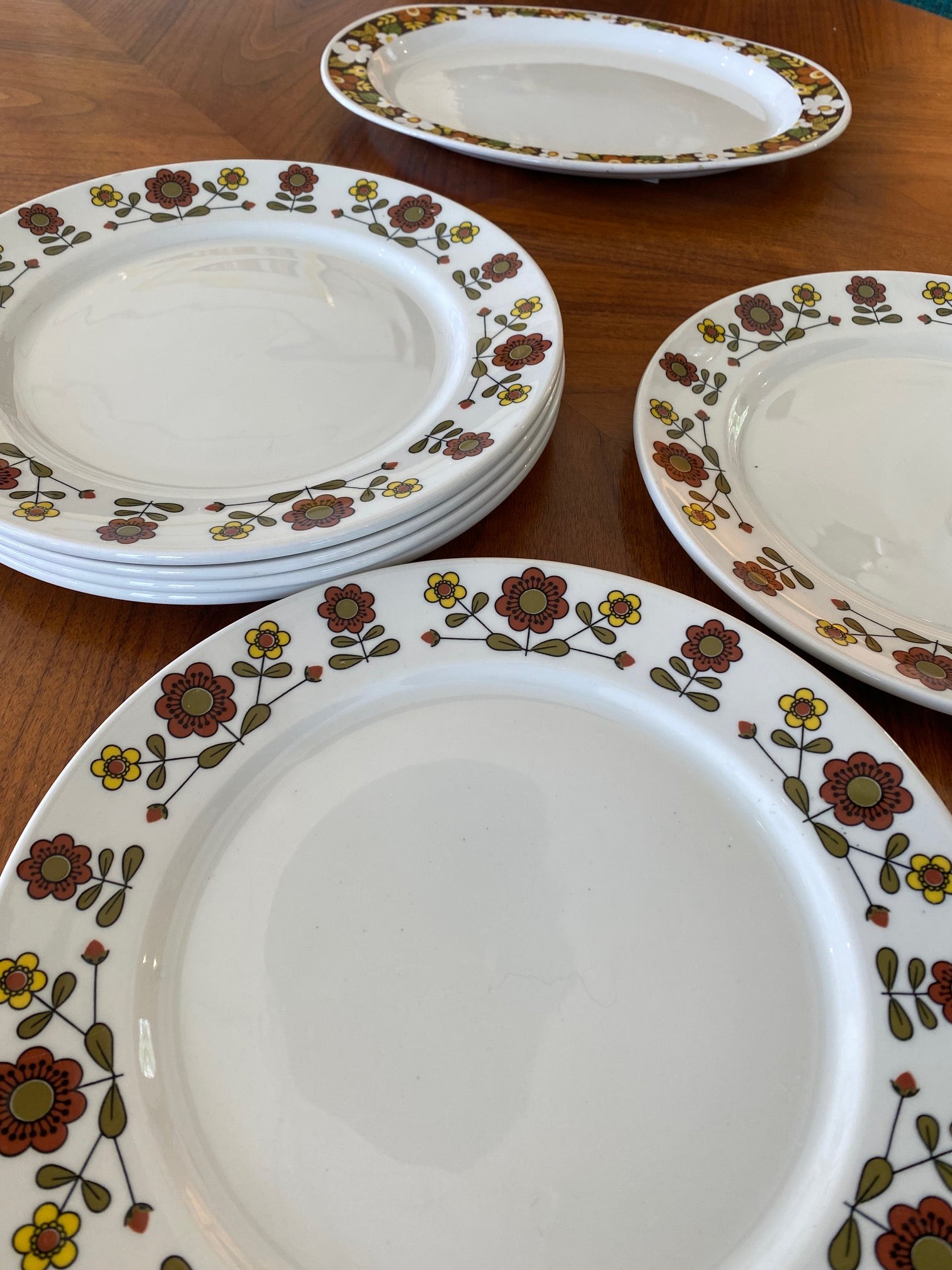 6 Brown & White Daisy Dishes- Duraline England