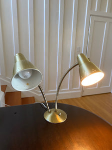 Double Gooseneck Desk Lamp