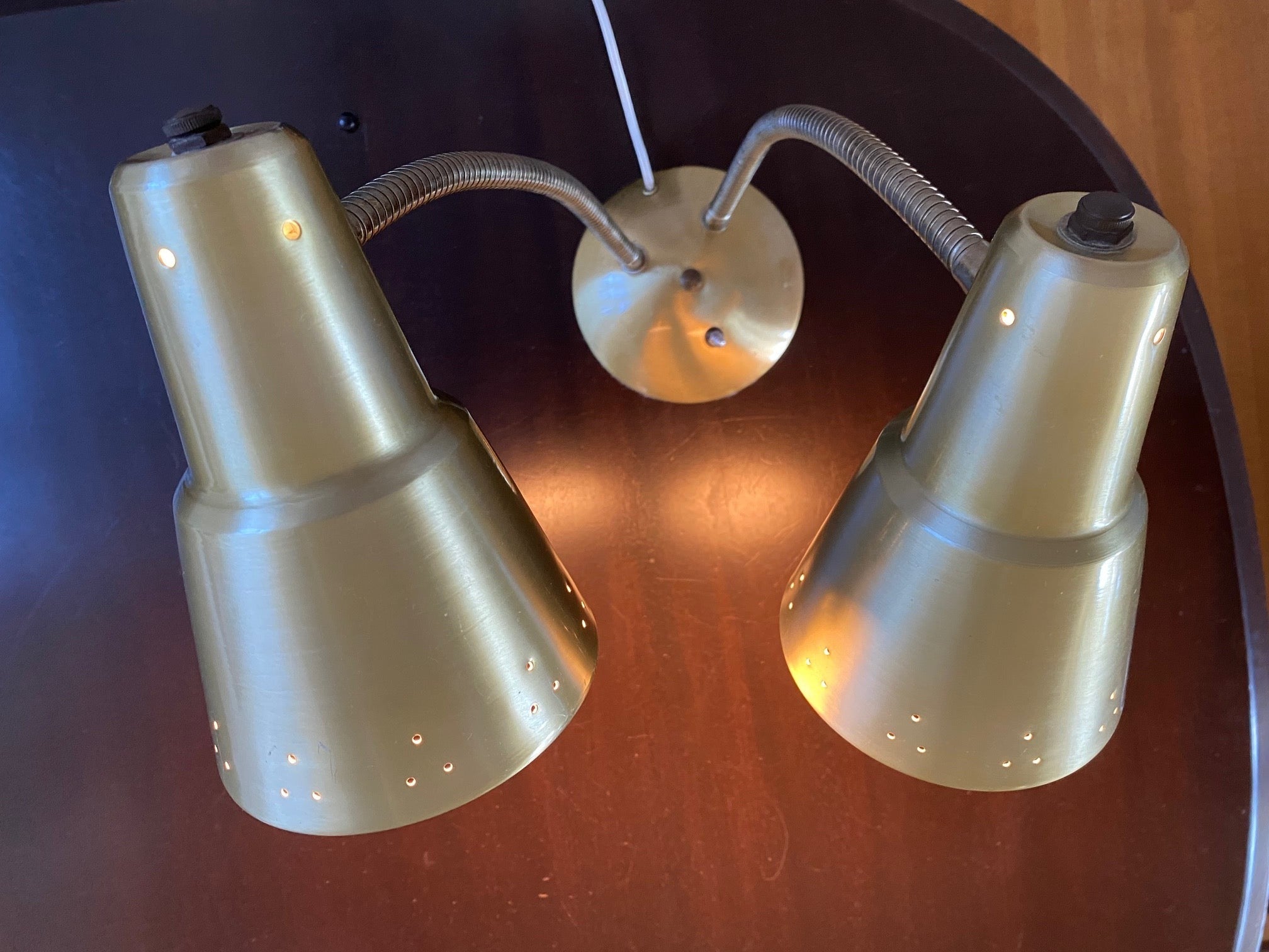 Double Gooseneck Desk Lamp- Cook Street Vintage