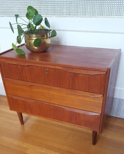 Midcentury Danish modern 3 drawers dresser with money plant in brass pot- Cook Street Vintage