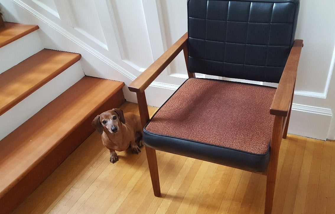 Teak armchair with little teak coloured dog- Cook Street Vintage
