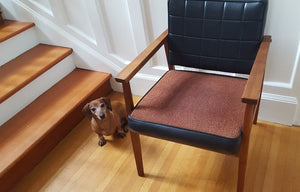 Teak armchair with little teak coloured dog- Cook Street Vintage