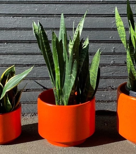 Gorgeous C-10 Orange Gainey Ceramics La Verne California Planter- Cook Street Vintage