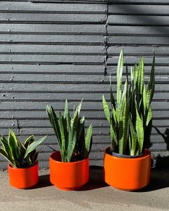 Set of three Gainey Veramics La VErne California Planter- Cook Street Vintage