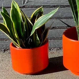 C-6 Orange Gainey Ceramics La Verne California Planter- Cook Street Vintage