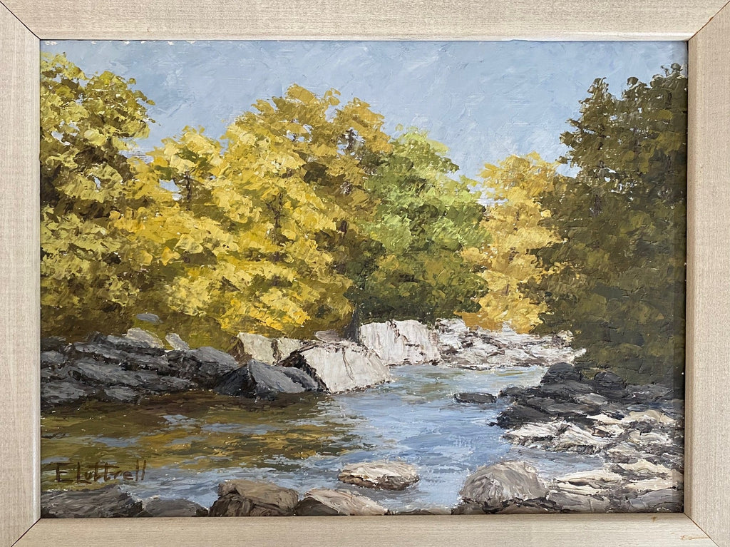 River landscape -Cook Street Vintage
