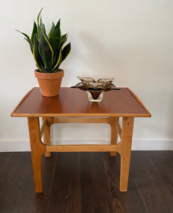 Reclaimed mahogany side table with snake plant and smoke glass ashtray-Cook Street Vintage