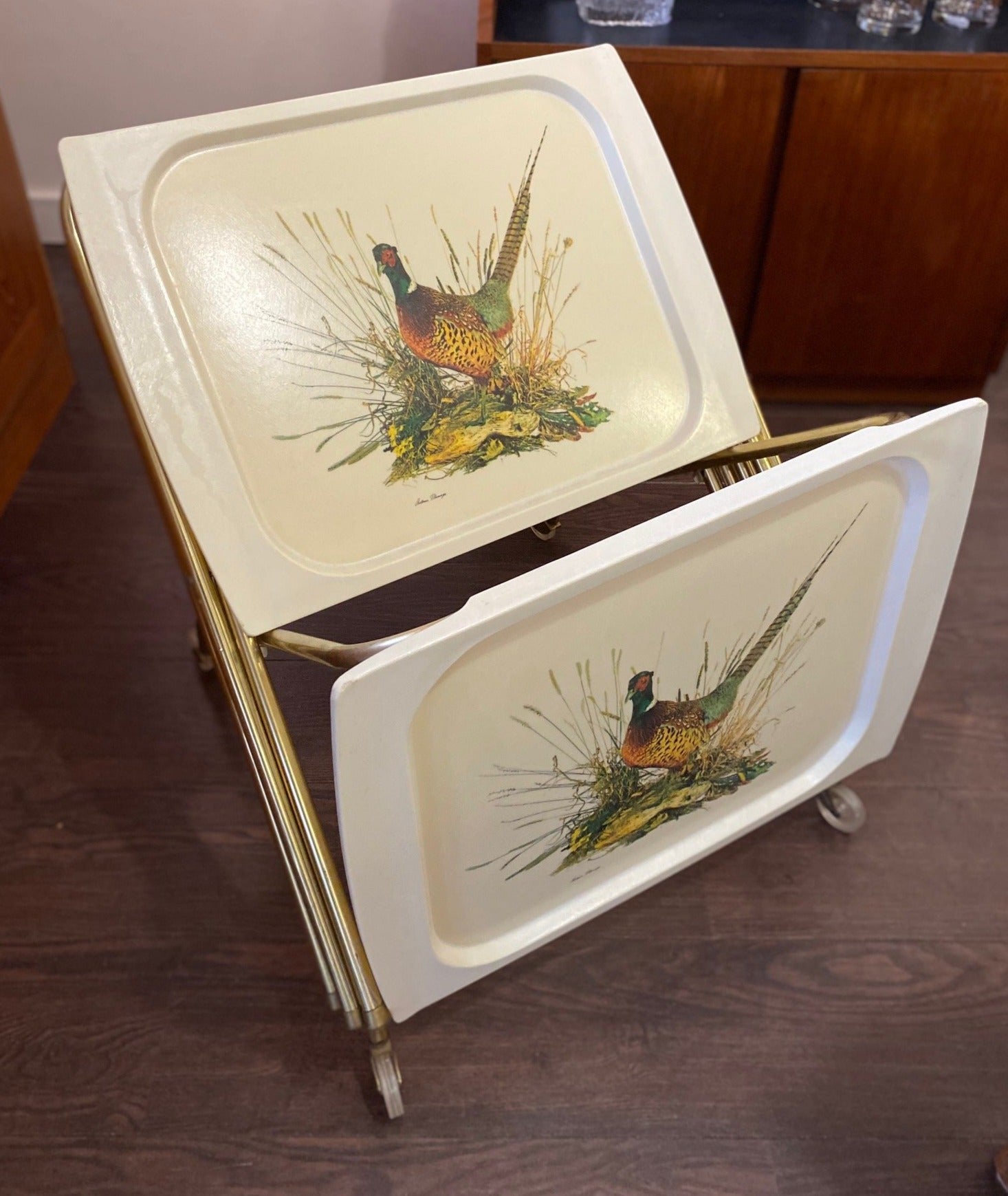 Set of 4 retro plastic TV trays. Happy pheasant design!- Cook Street Vintage