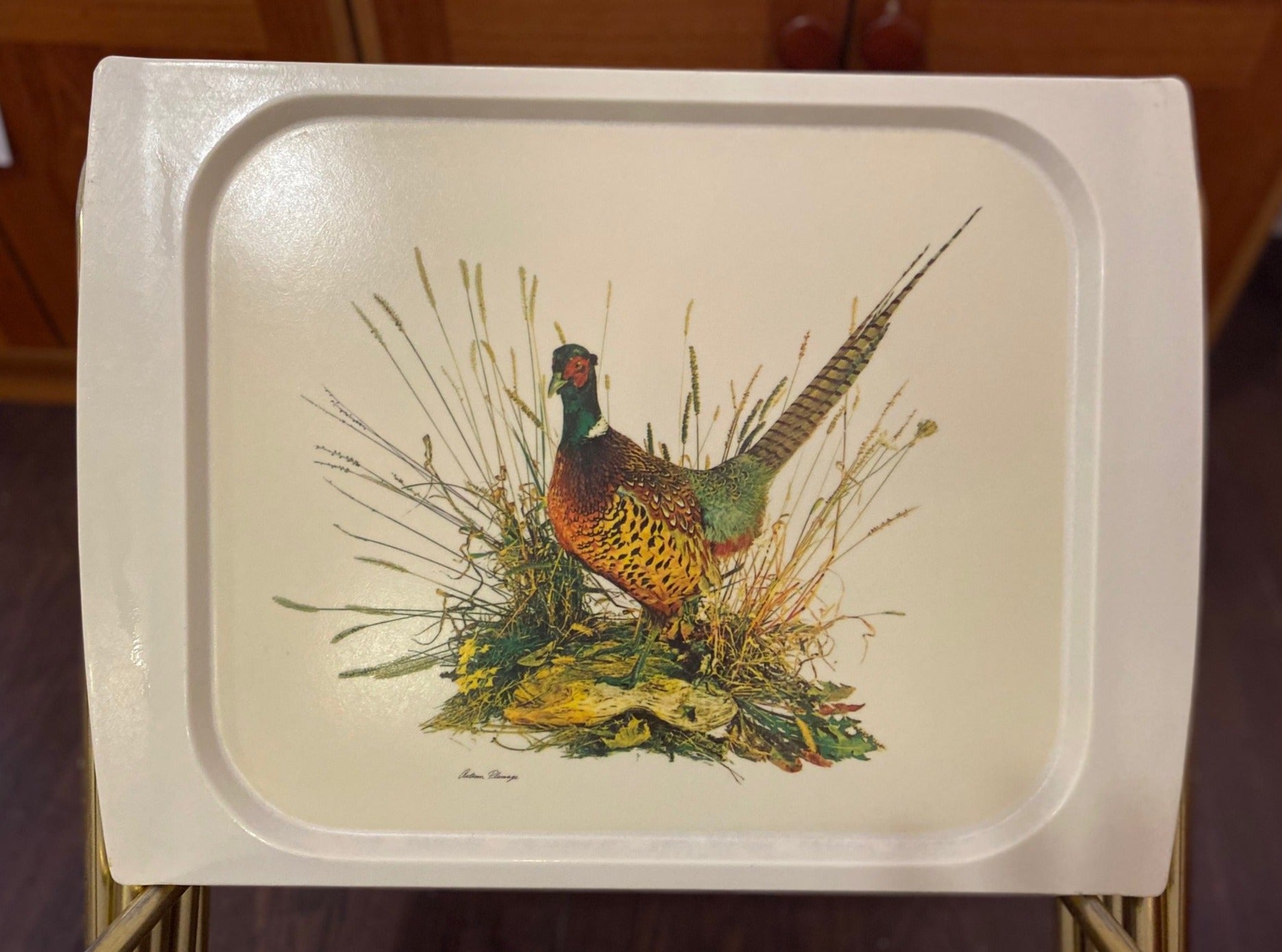 Set of 4 retro plastic TV trays. Happy pheasant design!- Cook Street Vintage